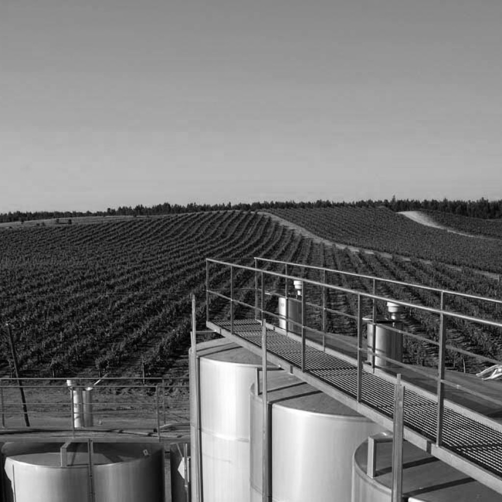 photo vieille vue sur les vignes