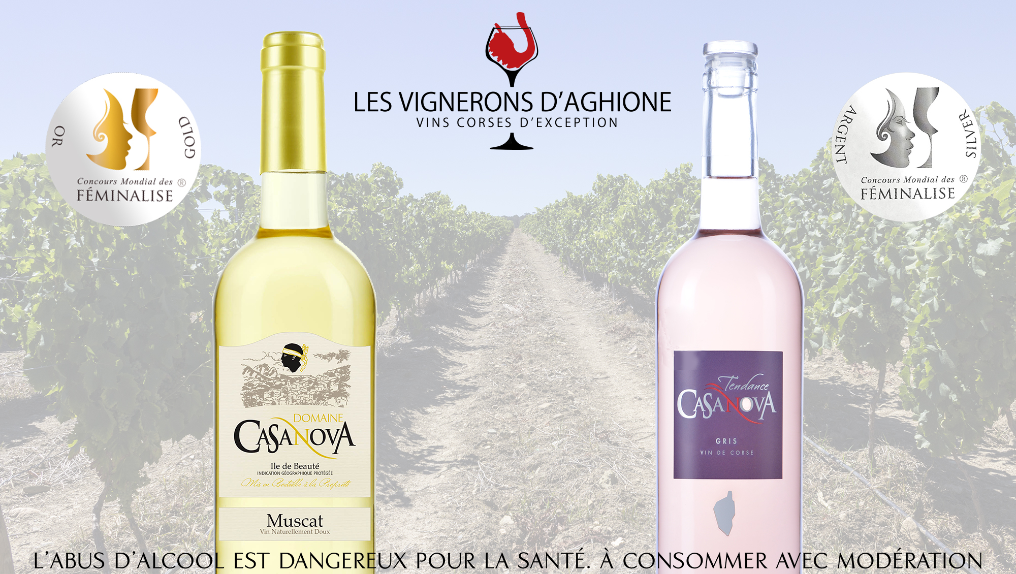 meilleurs vins de corse