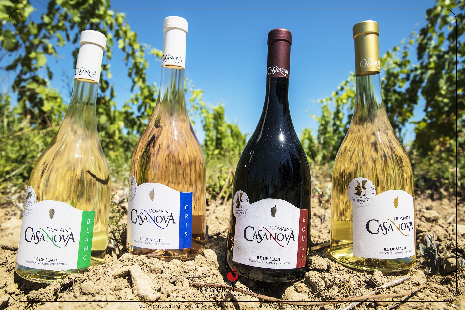 domaine casanoca corse