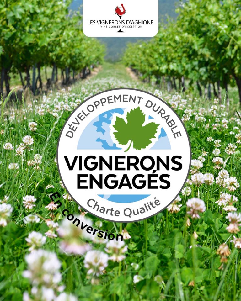 Les Vignerons d'Aghione intègre la démarche RSE des Vignerons Engagés
